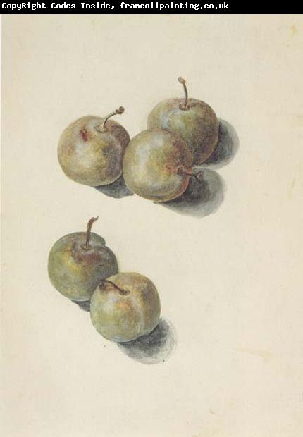 Edouard Manet Etude de cinq prunes (mk40)